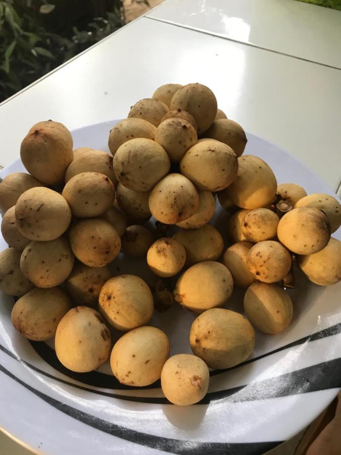 Camiguin Kalimba De Luna Inn Mambajao Eksteriør bilde